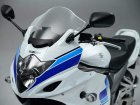 Suzuki GSX 1250 FA-Z Special Edition